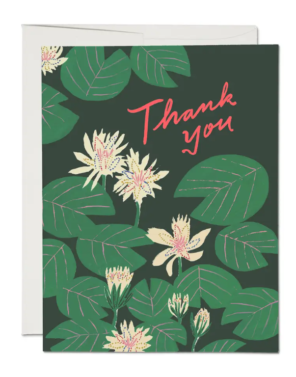 Thank You Cards