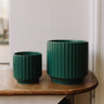 Plant Pots