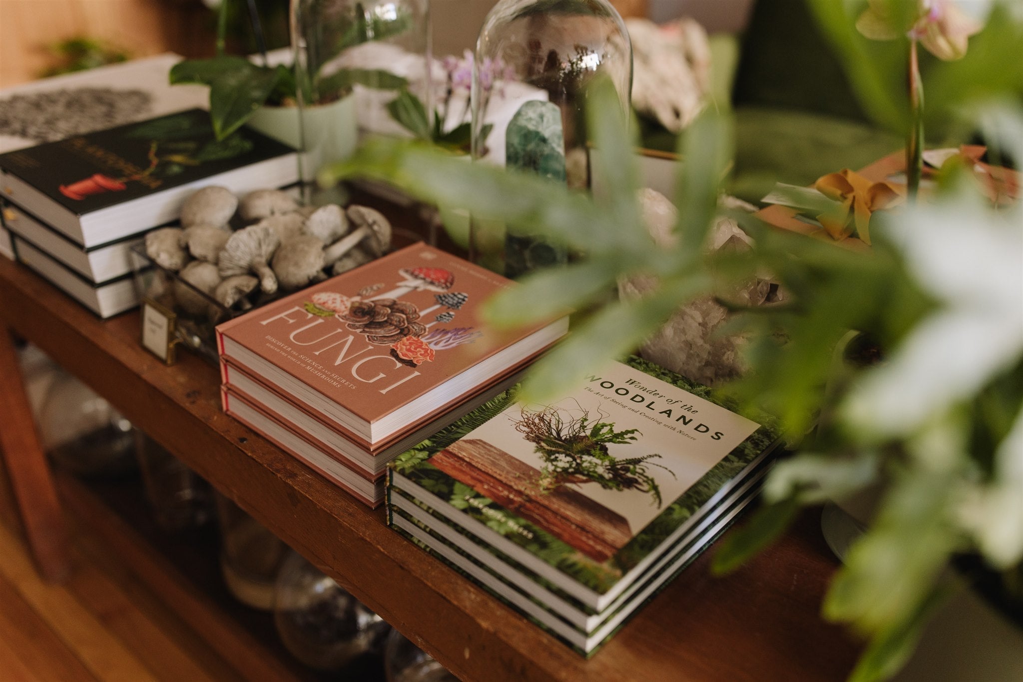 Books