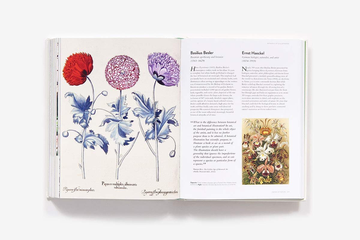 The Botanical Bible: Plants, Flowers, Art, Recipes, &amp; Other Home Remedies