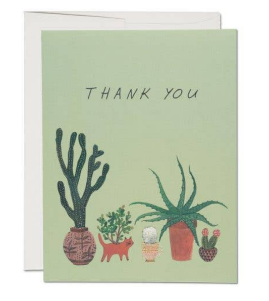 Thank You Cards